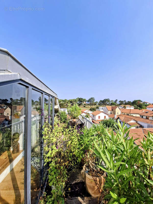 Une terrasse sur le toit - photo 11