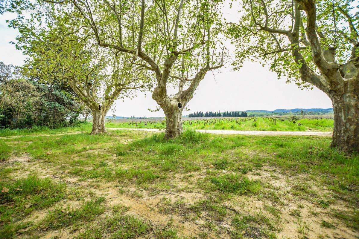 Maison à SAINT-LAURENT-DES-ARBRES