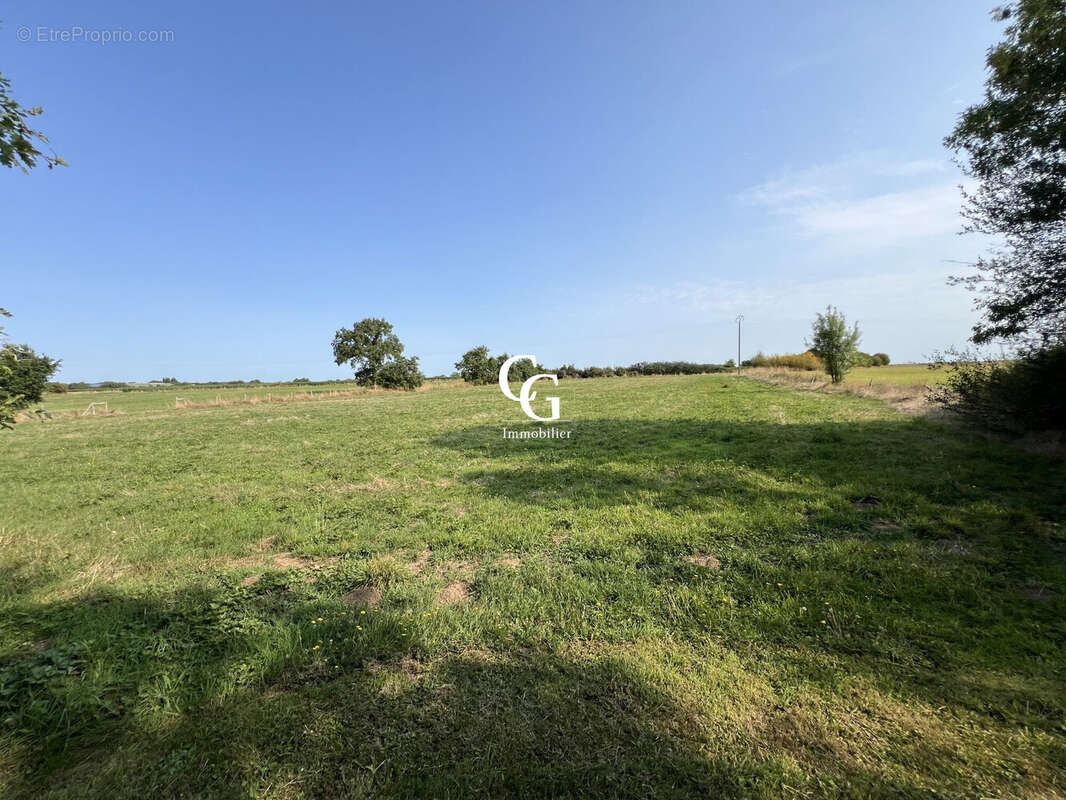 Maison à VIEILLEVIGNE