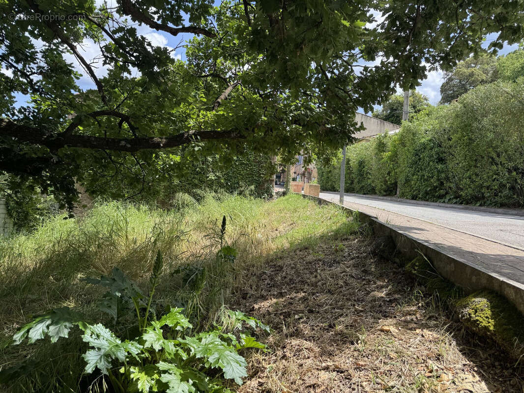 Terrain à LES MAYONS