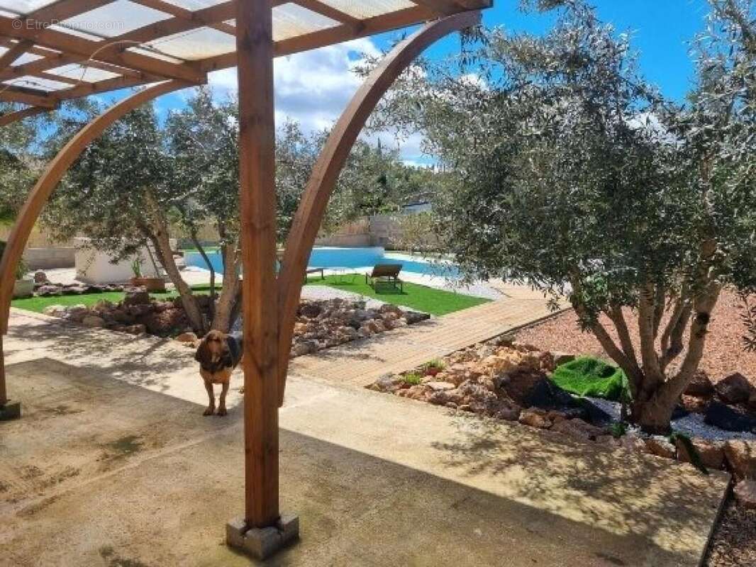 Photo 7 - Maison à CEBAZAN