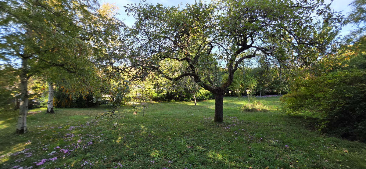 Maison à LA ROCHE-POSAY