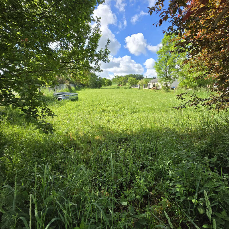 Terrain à TANTONVILLE