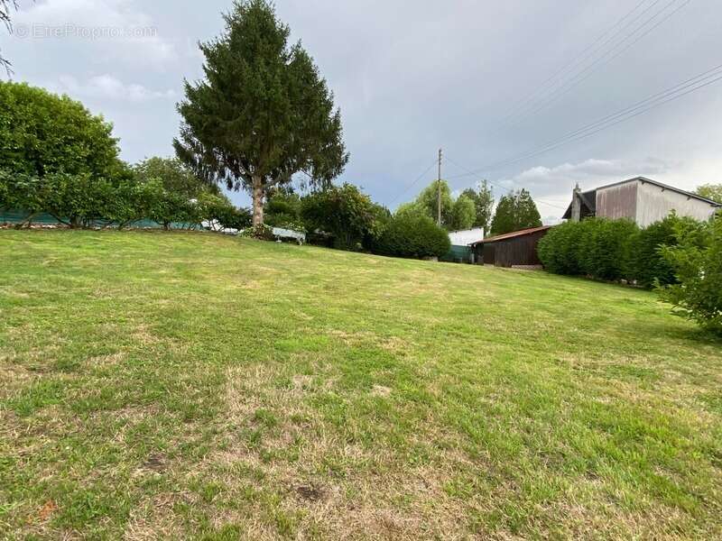 Terrain à LE BREUIL-EN-AUGE