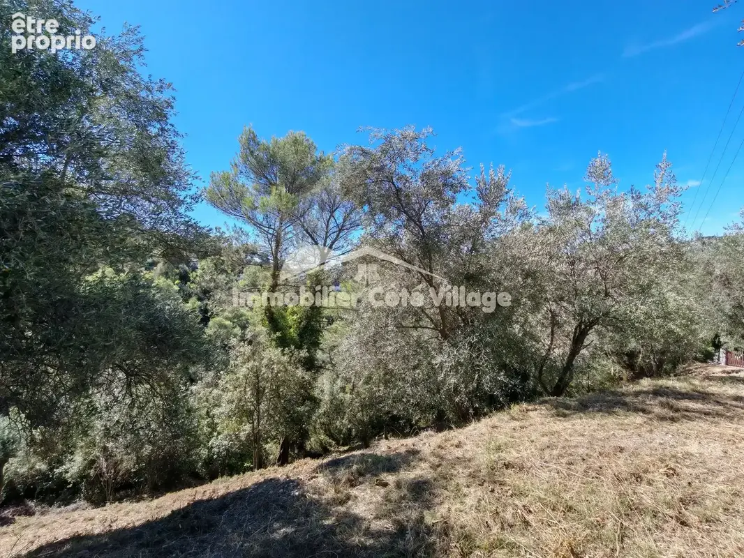 Hauteurs de saint-andré-de-la-roche   2 700 m2 de terrain arboré avec oliviers - photo 2