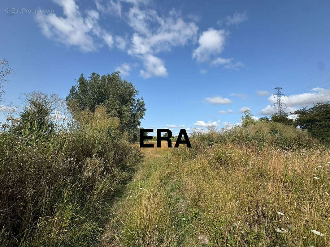 Entrepôt / Local industriel 350m² à ruminghem - photo 6