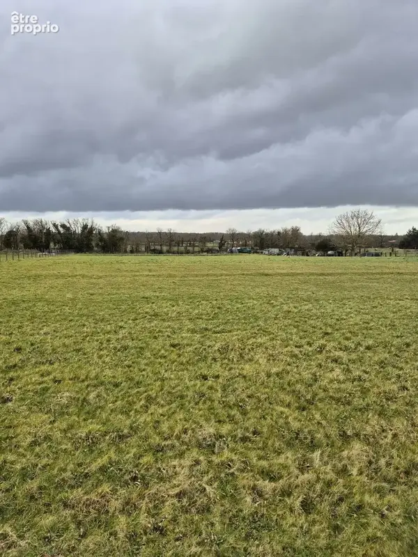 Terrain à OZOUER-LE-VOULGIS