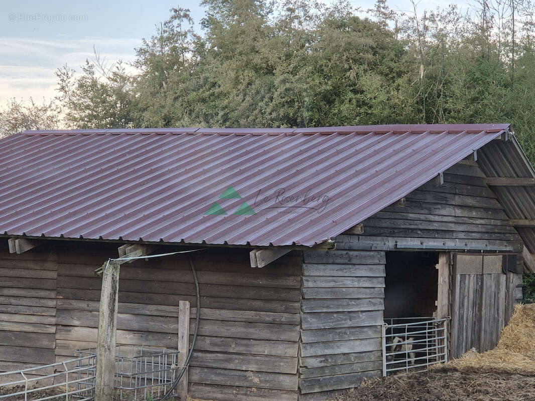 Terrain à VIEUX-FERRETTE