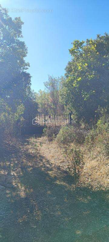Terrain à ROQUEBRUNE-SUR-ARGENS