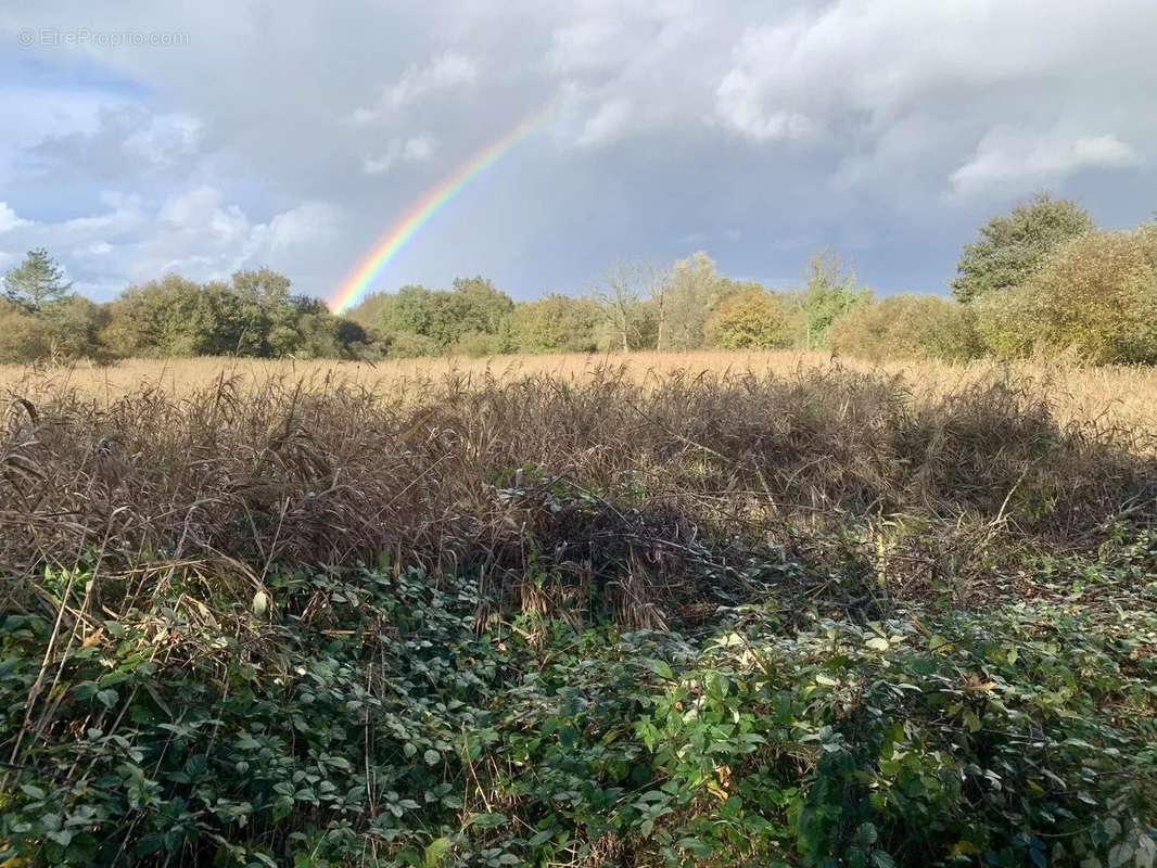 Maison à CHATEAUROUX