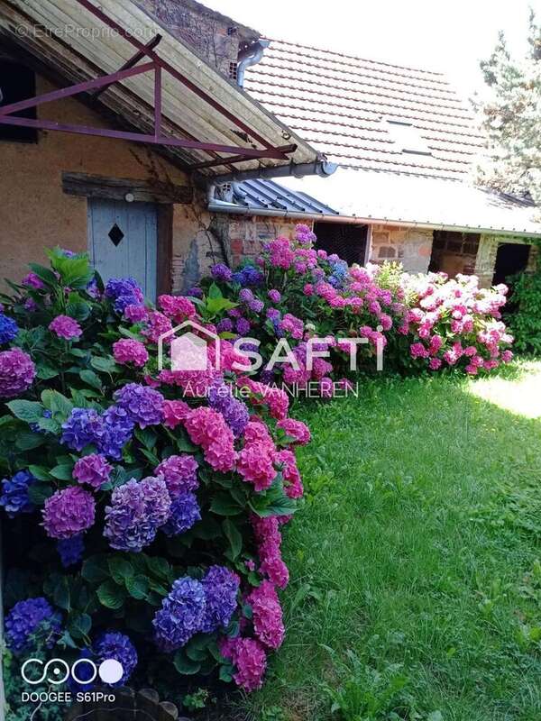 Photo 9 - Maison à SAINT-AMAND-EN-PUISAYE