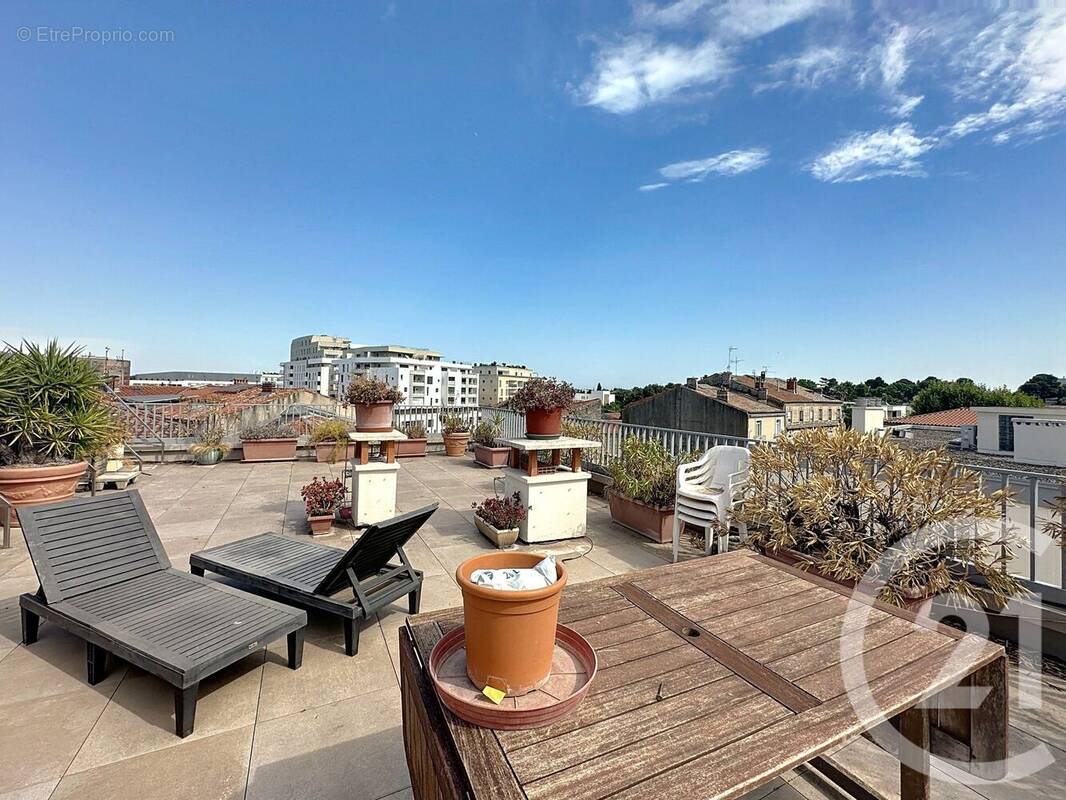 Photo 1 - Appartement à MONTPELLIER