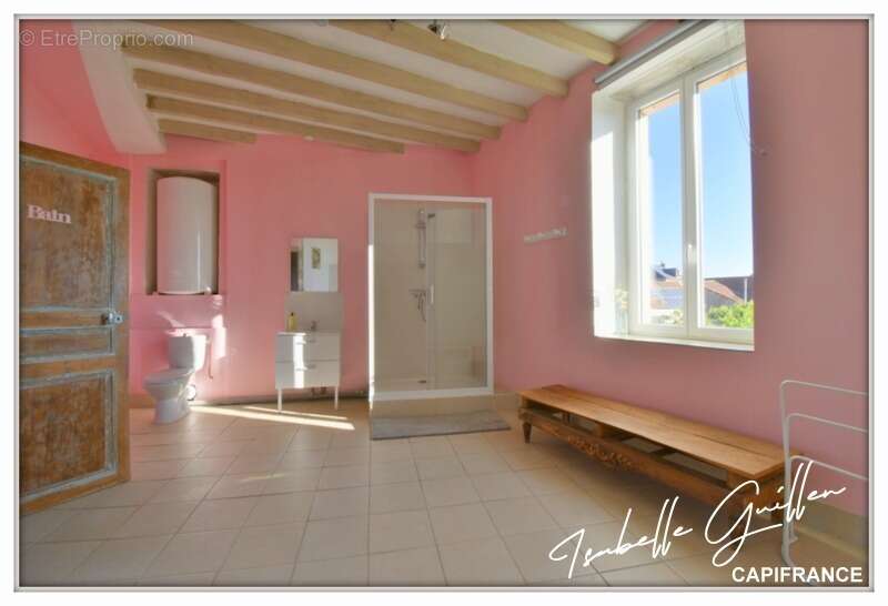 Maison à vendre 9 pièces VESDUN (18) - photo 54