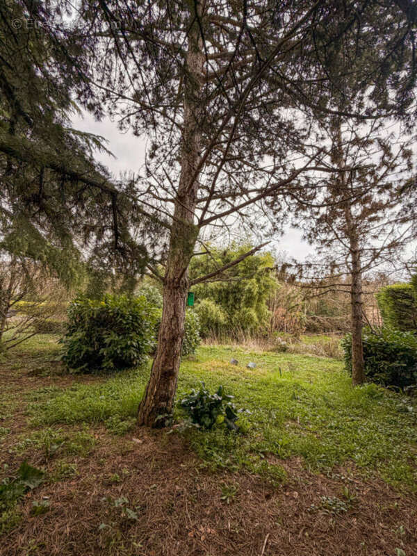 Terrain à SAINT-DIDIER-AU-MONT-D'OR
