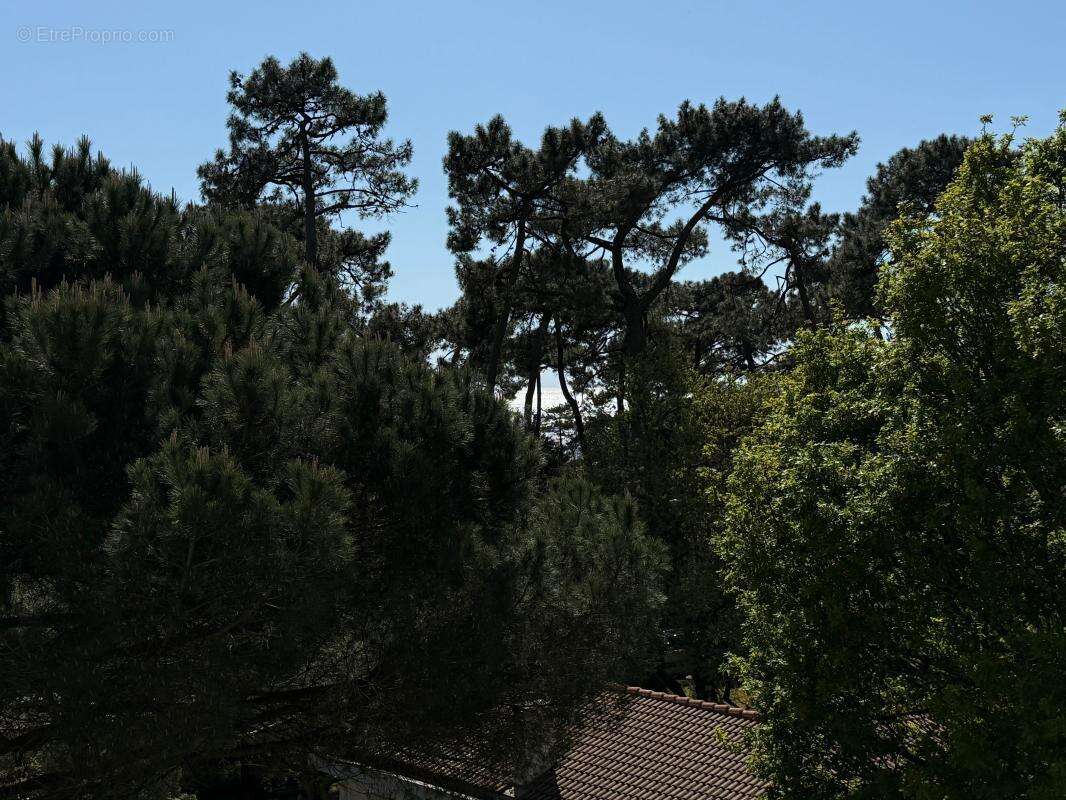 Appartement à VAUX-SUR-MER