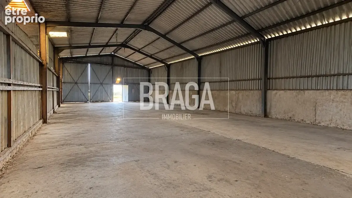 Hangar 300m2 - photo 4