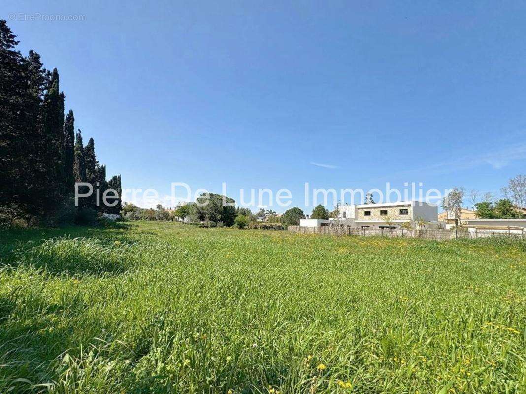 Terrain à PERPIGNAN