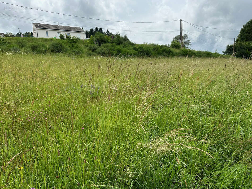 Terrain à REMIREMONT
