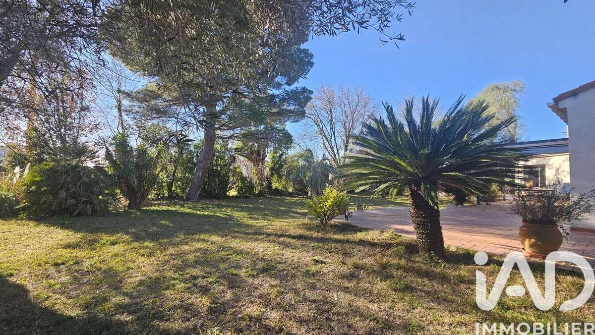 Photo 5 - Maison à MILLAS