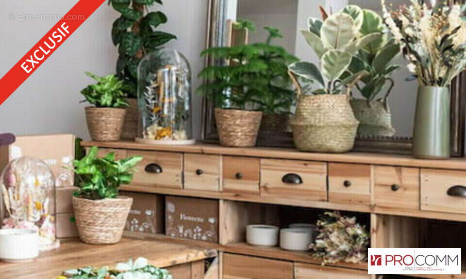 Commerce à SAINT-LEU