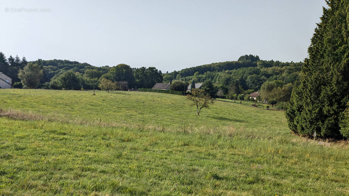 Terrain à LE CHASTANG