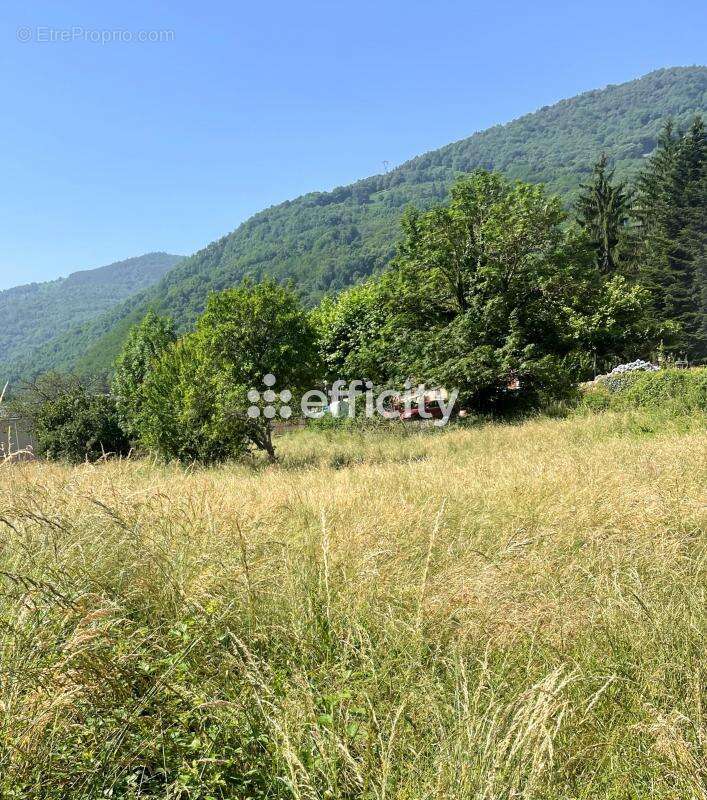 Terrain 2397 m² à Ferrieres-Sur-Ariege  - photo 3