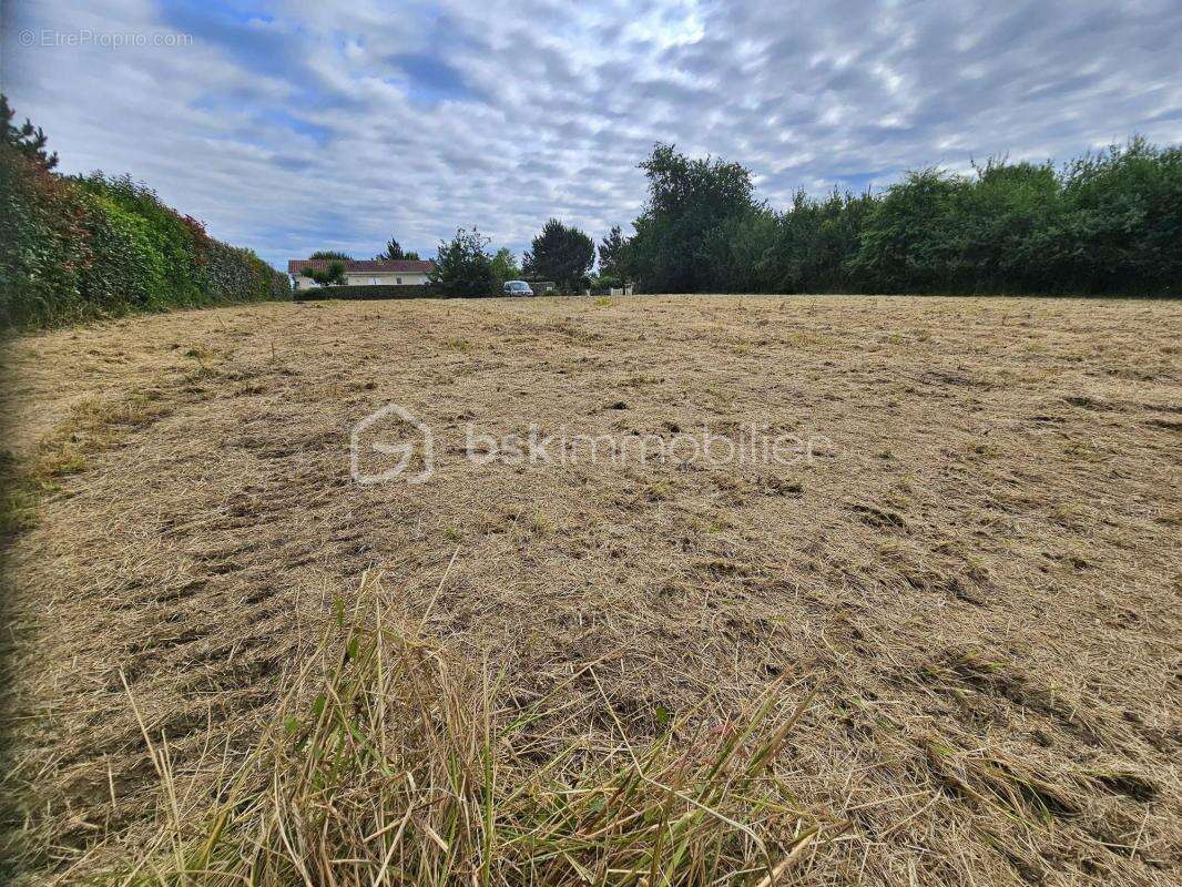  Terrain à bâtir – Aire-sur-l’Adour  - photo 2