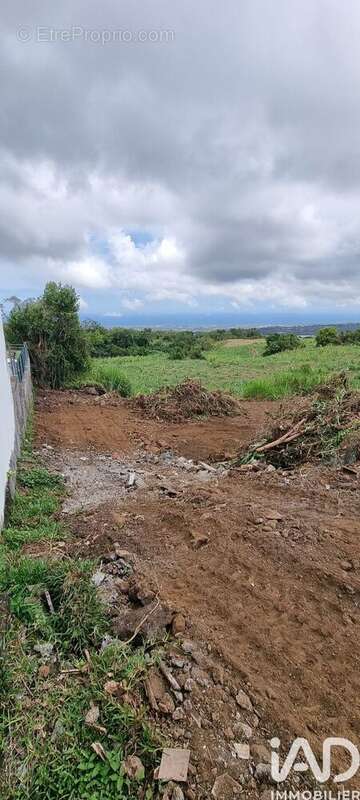 Photo 4 - Terrain à LE TAMPON