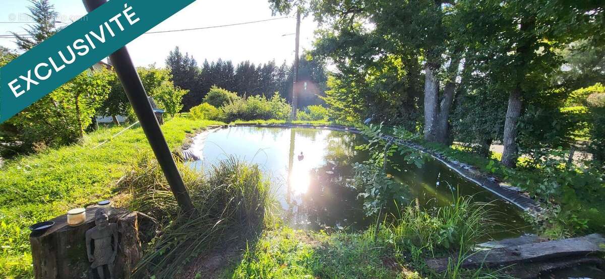 Photo 9 - Maison à RAHON