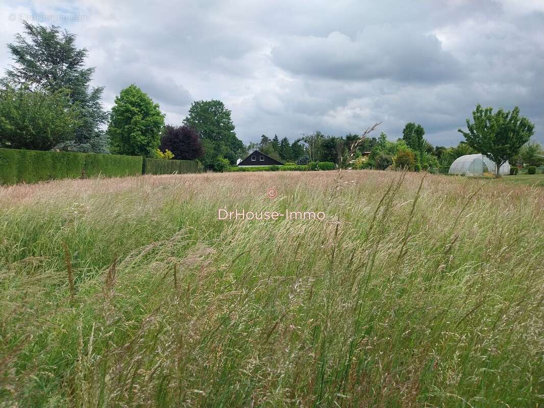 Terrain à SAINGHIN-EN-MELANTOIS