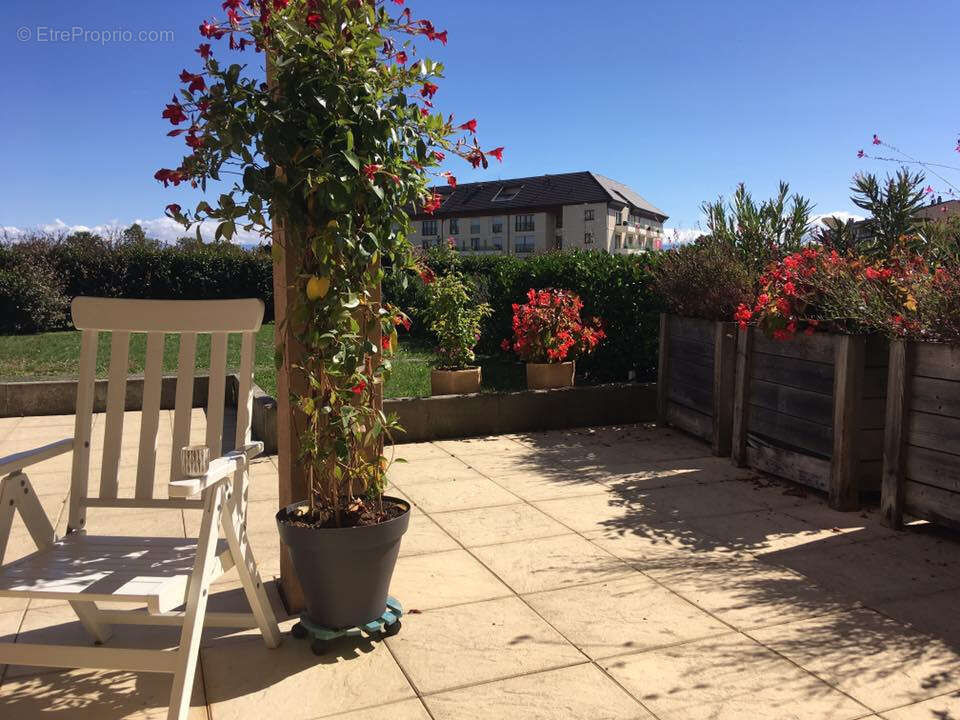 Commerce à DIVONNE-LES-BAINS