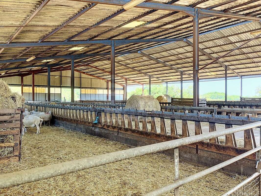 Lot (46)  Exploitation ovine sur 220 ha, avec bâtiments d'exploitation et maison d'habitation. - photo 6