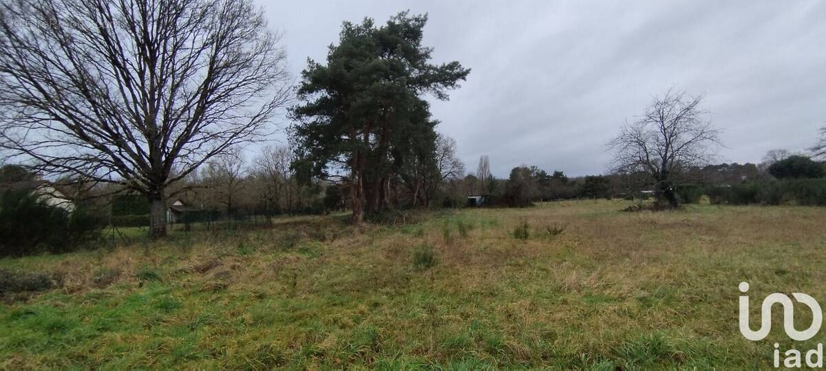 Photo 1 - Terrain à VILLEFRANCHE-SUR-CHER