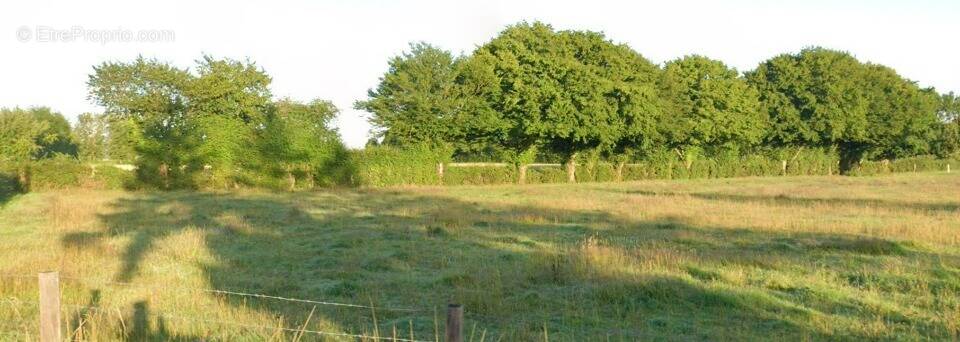 Terrain à CONTEVILLE