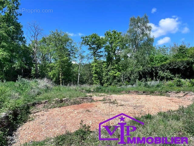 Terrain à MONT-SAINT-AIGNAN