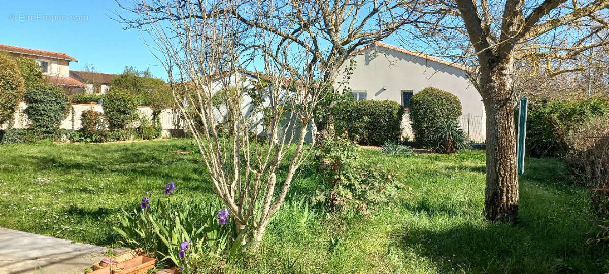 Maison à ROQUES
