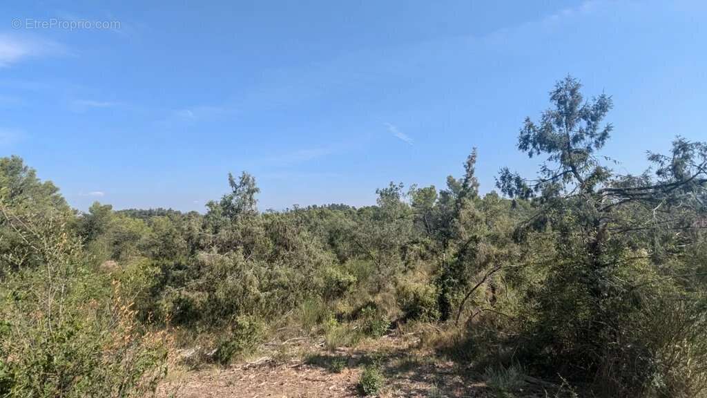 CARCES - Terrain 22.234m² en zone Naturelle - photo 7