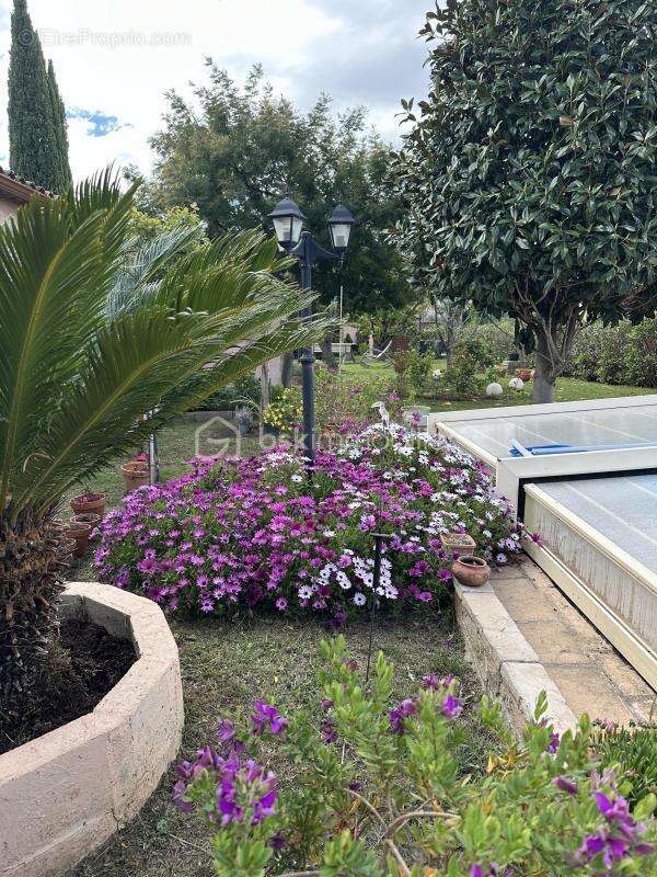 Maison à MARSILLARGUES