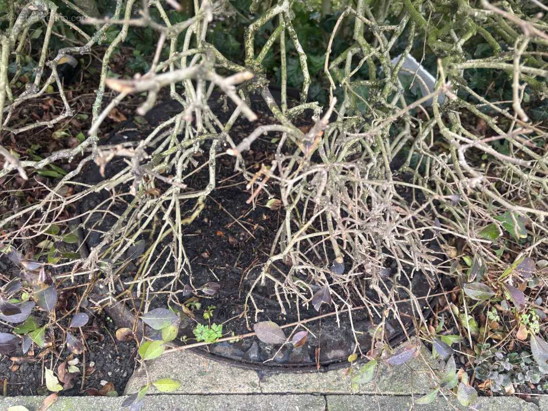 Terrain à LEFFRINCKOUCKE