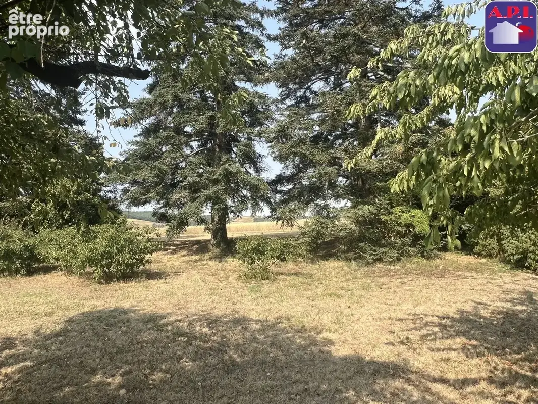 Maison 227 m² à Nailloux  - photo 20