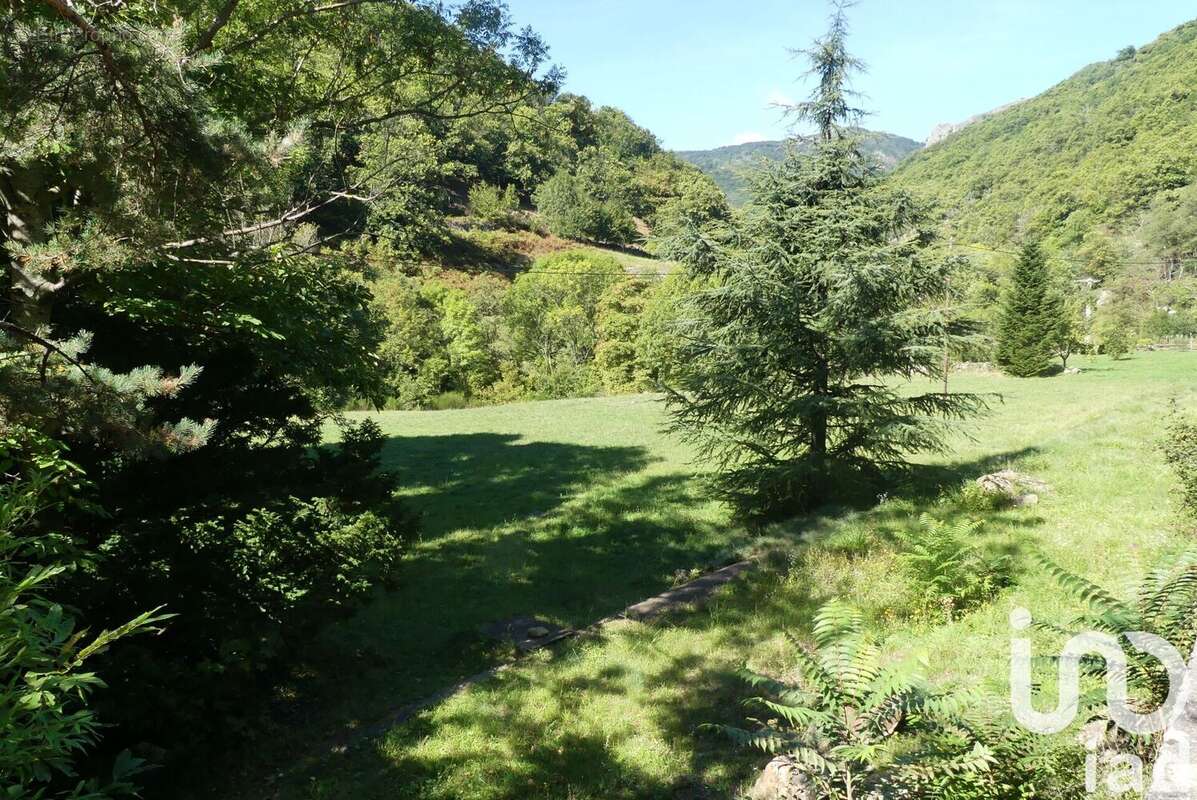 Photo 3 - Maison à BURZET