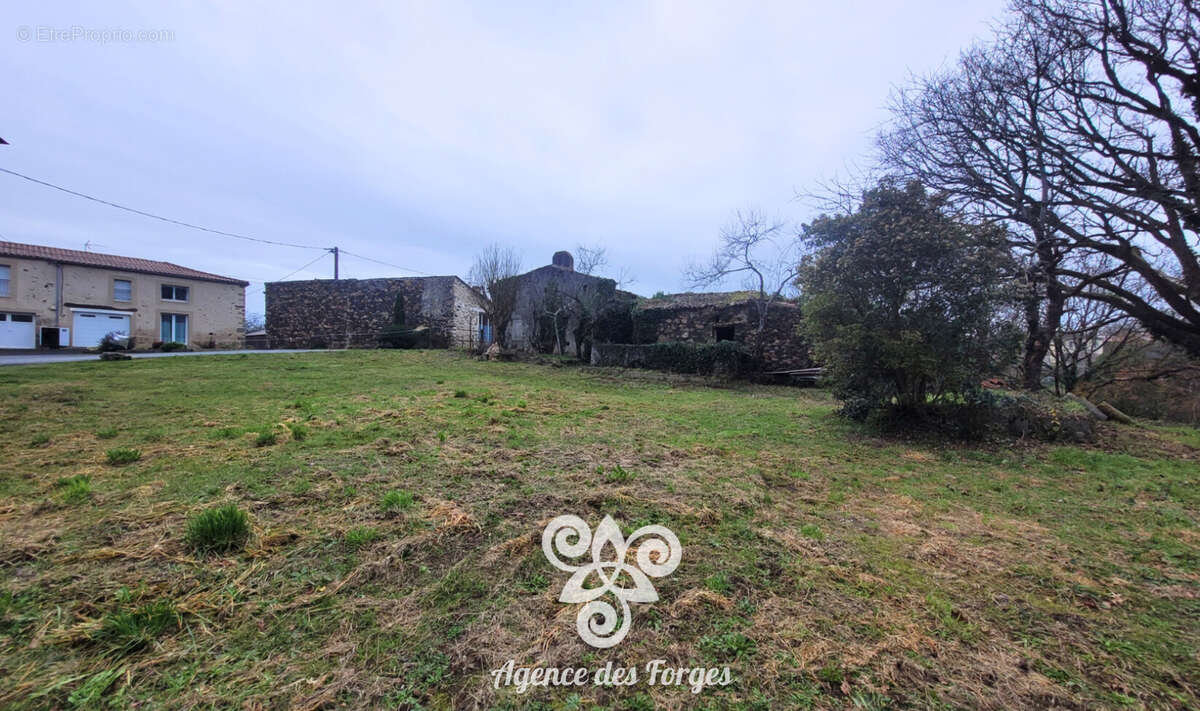 Terrain à LA BOISSIERE-DE-MONTAIGU