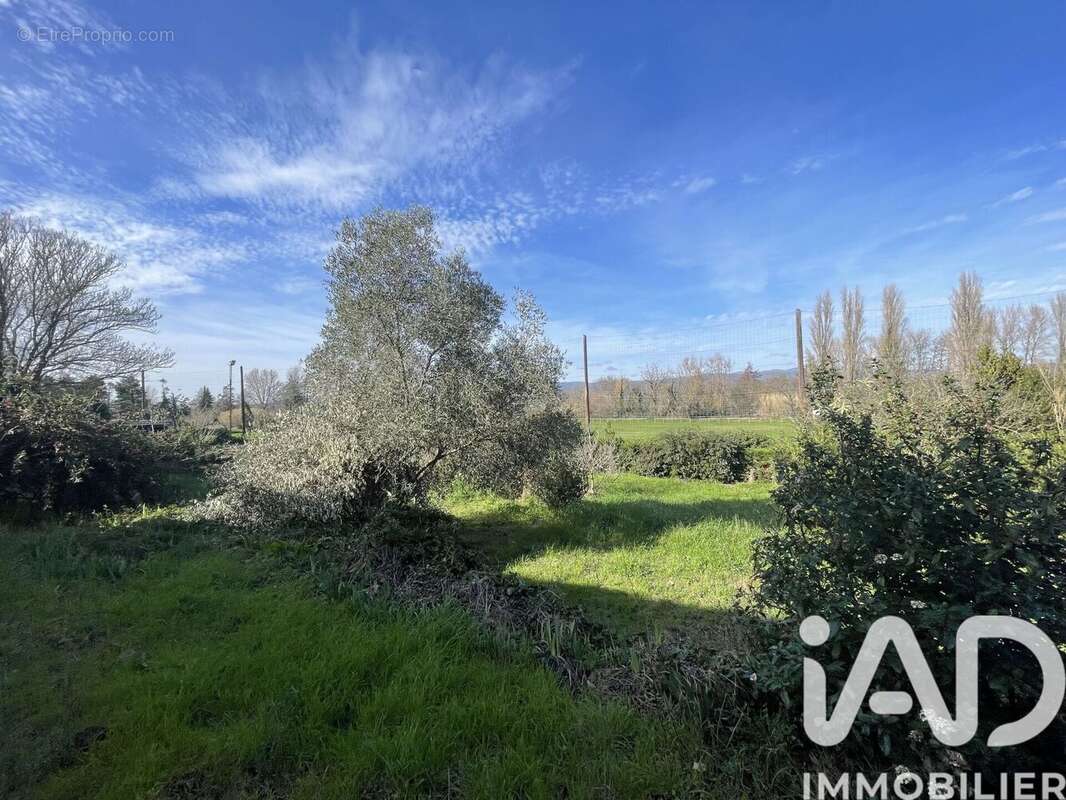 Photo 5 - Maison à RIEUX-MINERVOIS