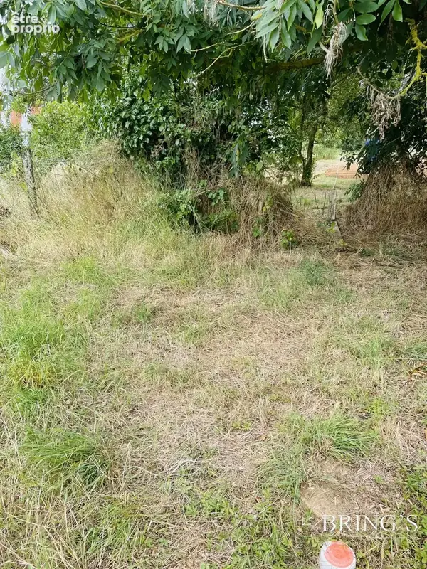 Terrain 800 m² à vendre à Champfleur (72610) - photo 8