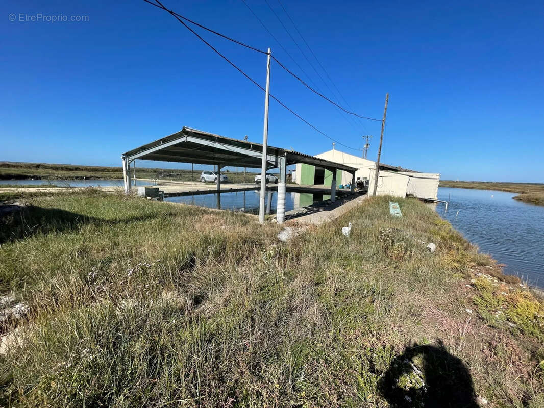 Maison à SAINT-JUST-LUZAC