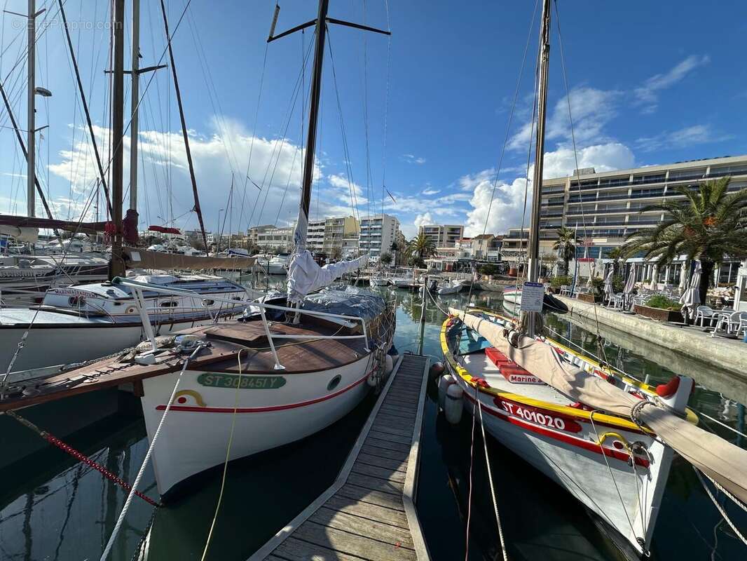 Photo 3 - Commerce à PALAVAS-LES-FLOTS