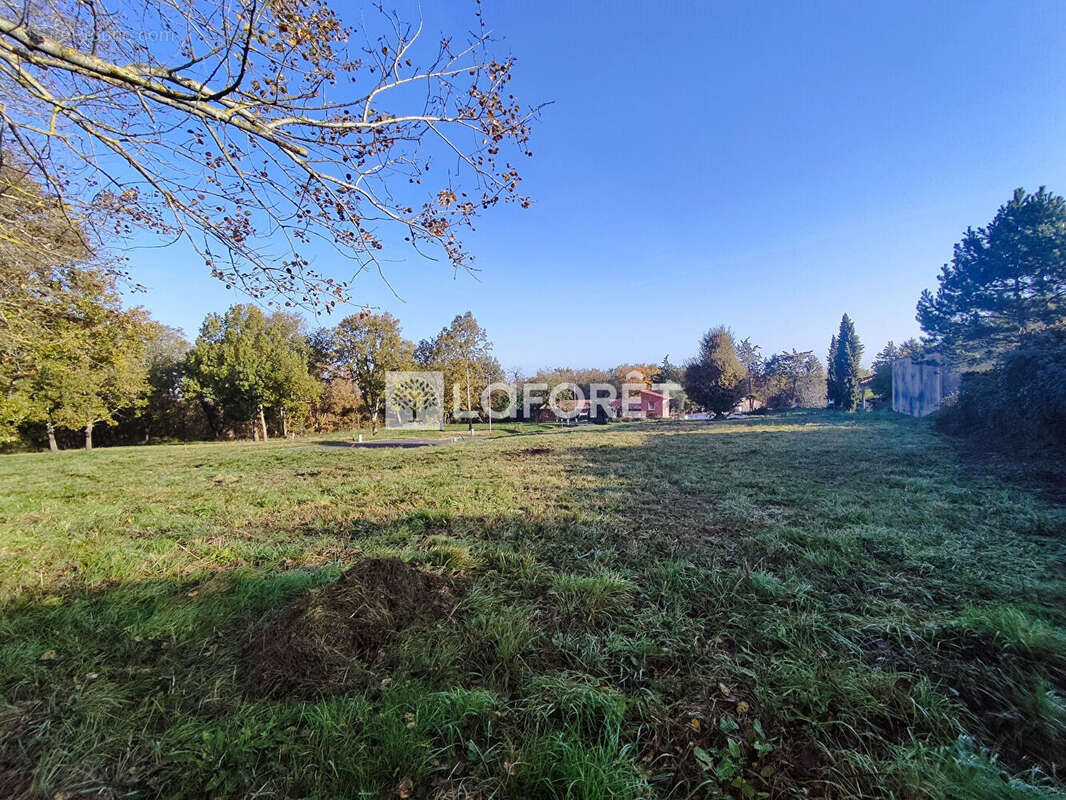 Terrain à PUYDANIEL