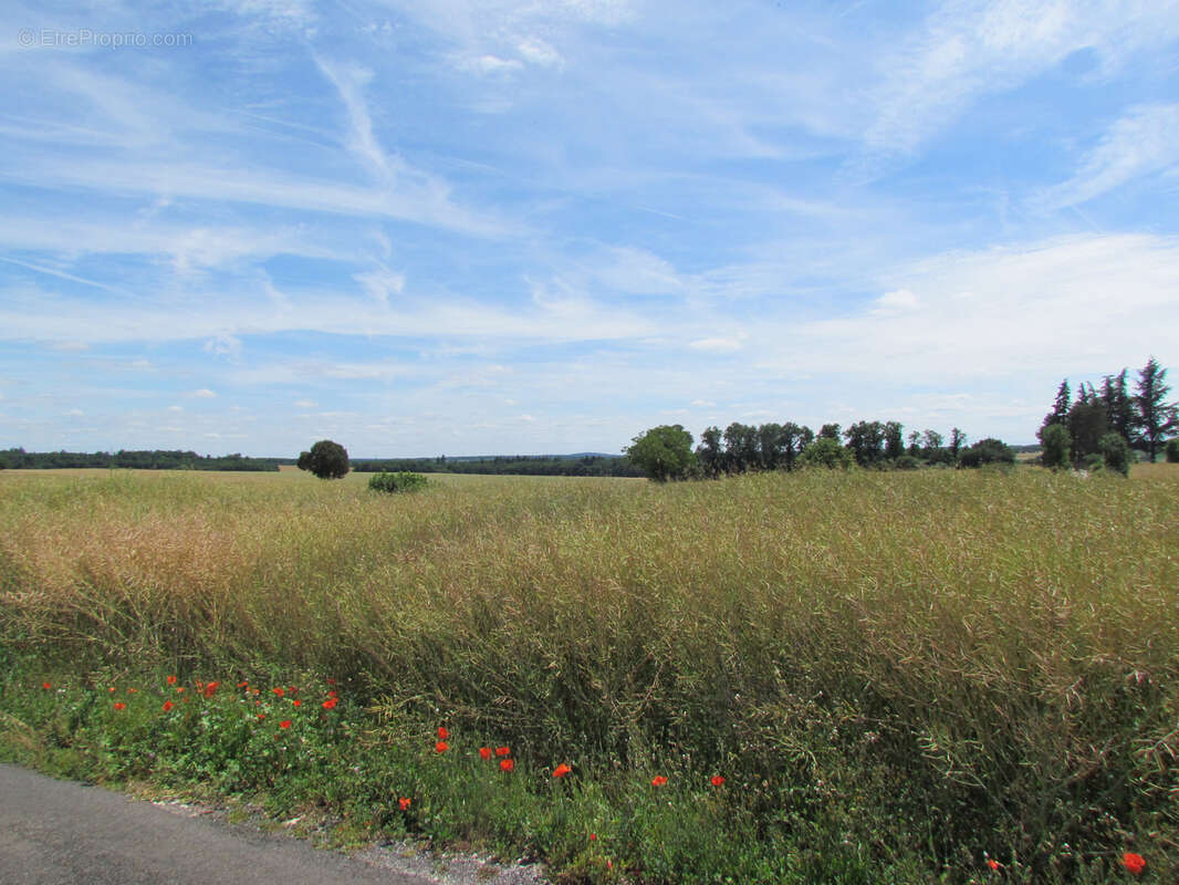 Terrain à LONNES