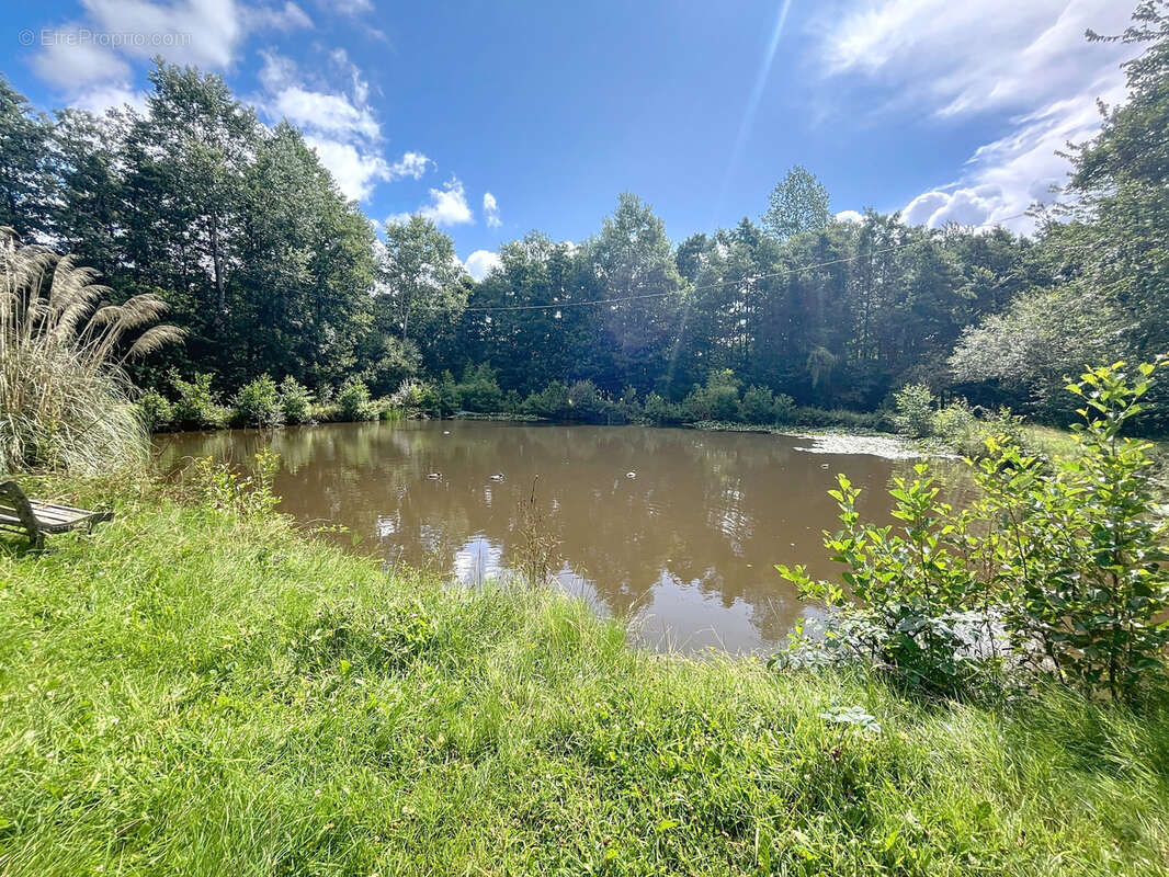 Maison à LE MESNIL-EURY