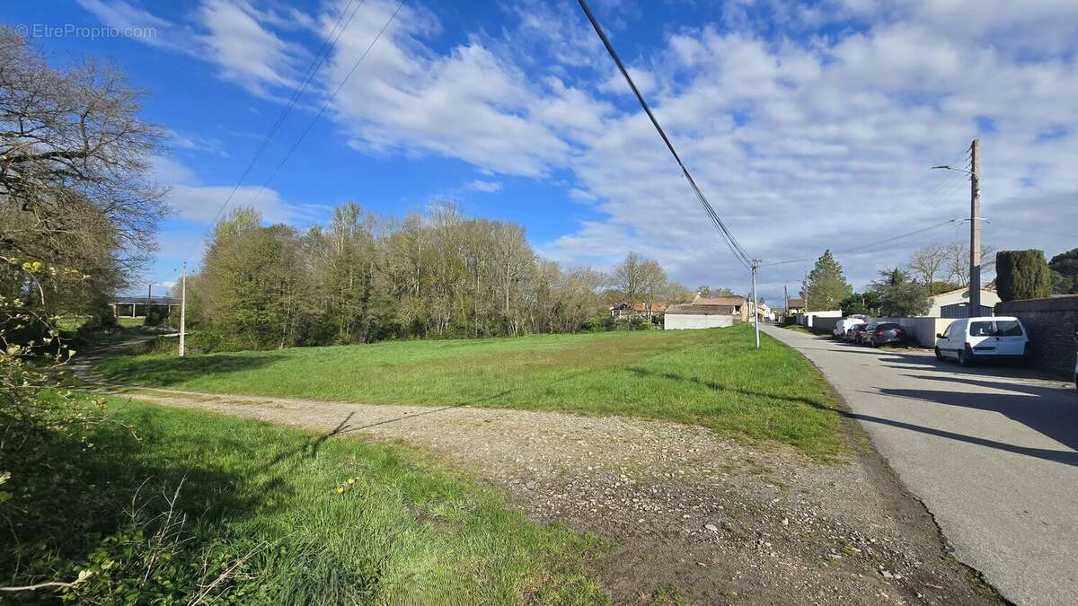 Terrain à CINTEGABELLE